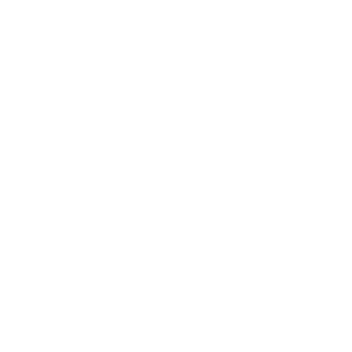 lucky 1317 white logo